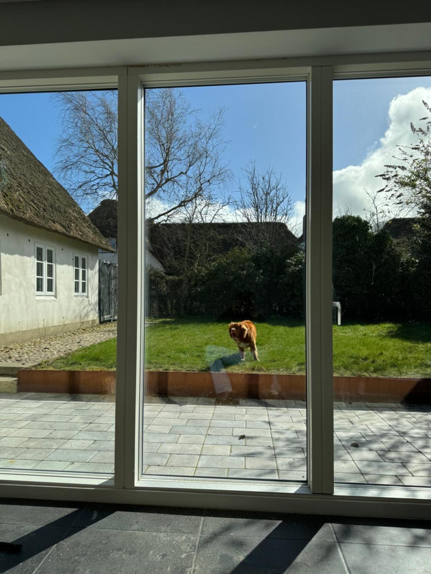 Kapitaenshaus Von 1712 - Neu Saniert Leilighet Nieblum Eksteriør bilde